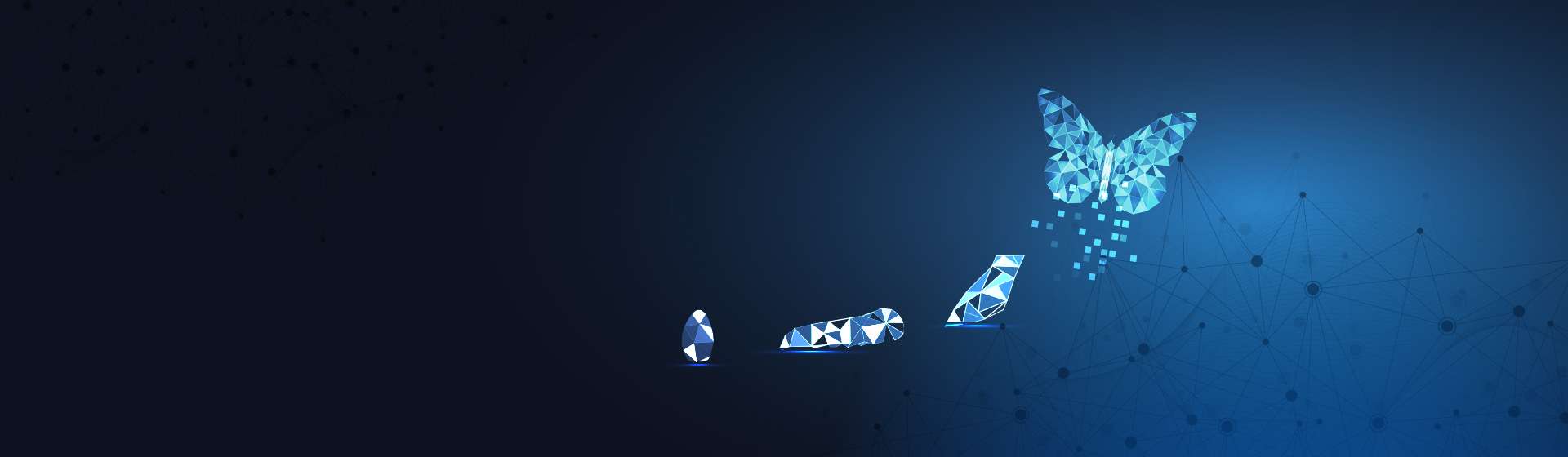 idc-desktop-bg