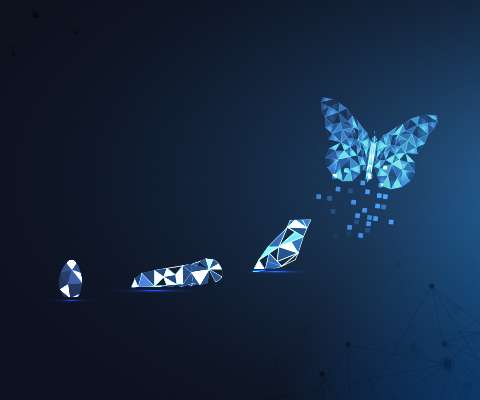 idc-mobile-bg